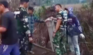 Tulang Bawang